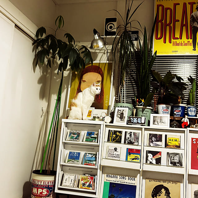 arayanさんの部屋