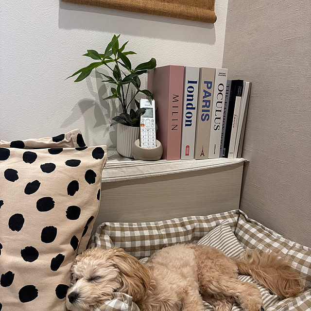 棚/フェイクブックボックス/べージュインテリア/H&M HOME/ZARA HOME...などのインテリア実例 - 2025-05-05 13:02:05