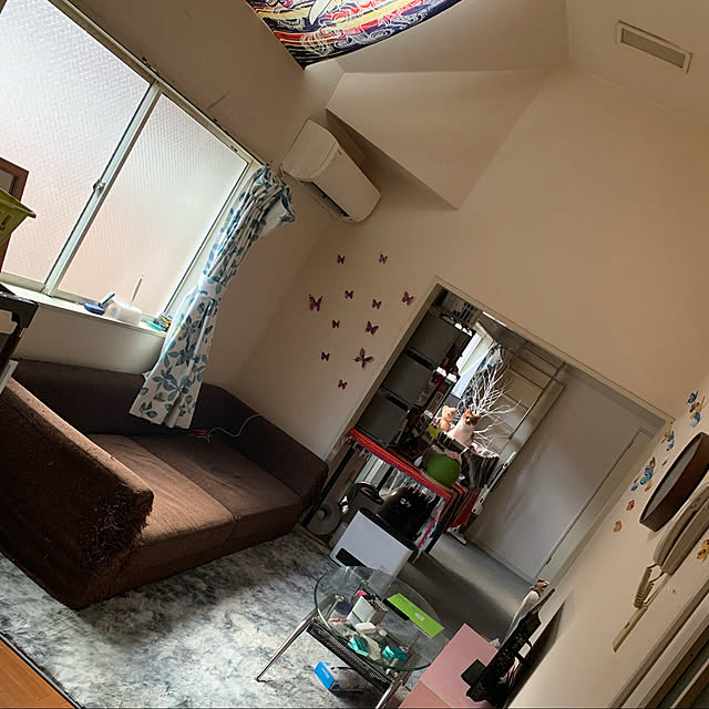 Harukiさんの実例写真