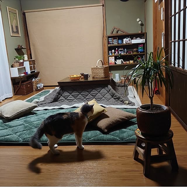 fukuさんの部屋