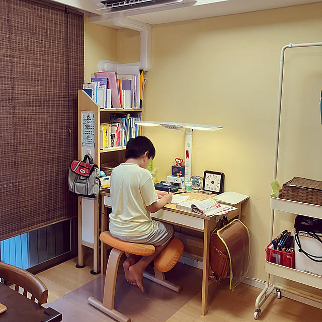 koshiregutyoさんの部屋