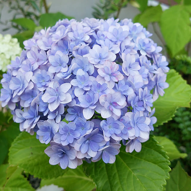 VIORAさんの実例写真
