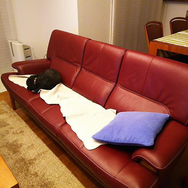 kazooさんの実例写真