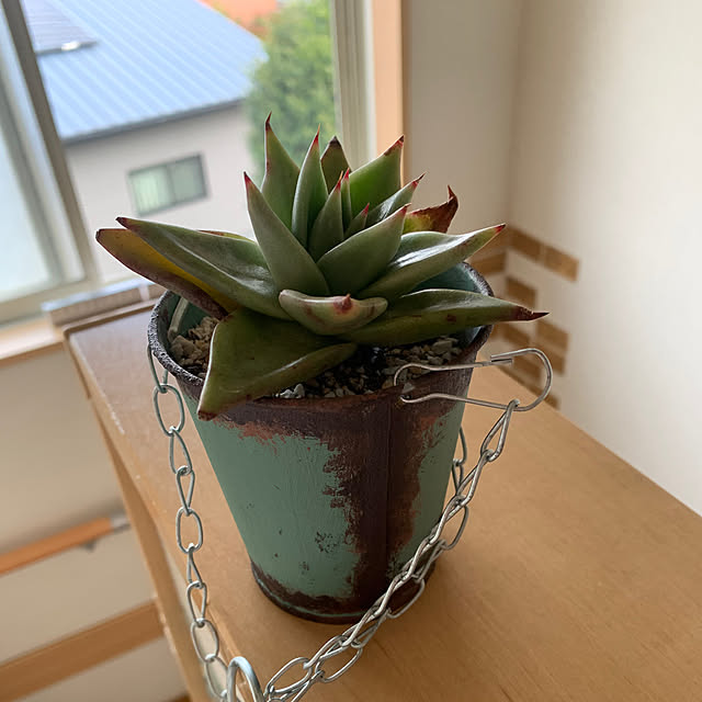 Fumiさんの部屋