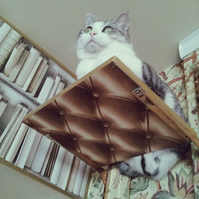 emmyyさんの実例写真