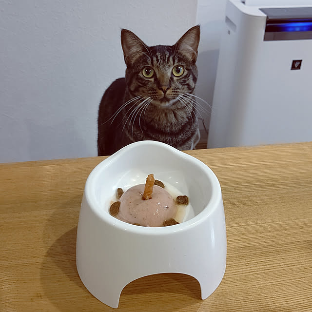 hihaさんの実例写真