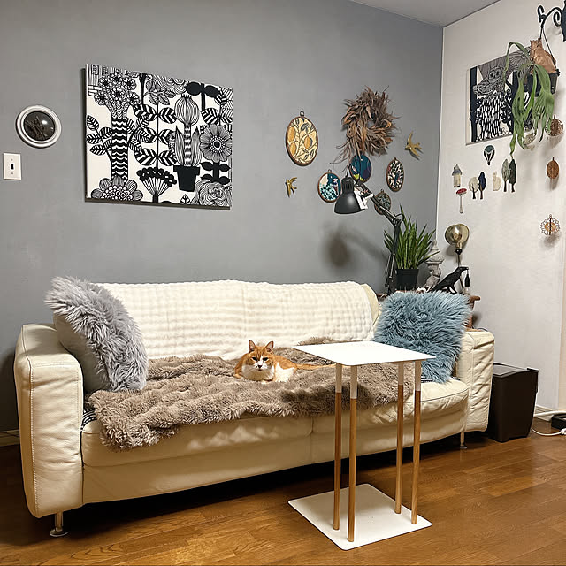 nyanko-beamさんの実例写真