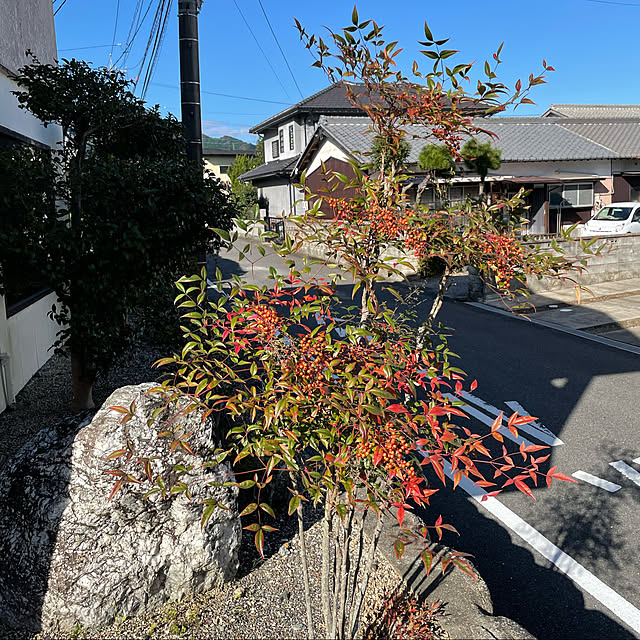 shin0719さんの実例写真
