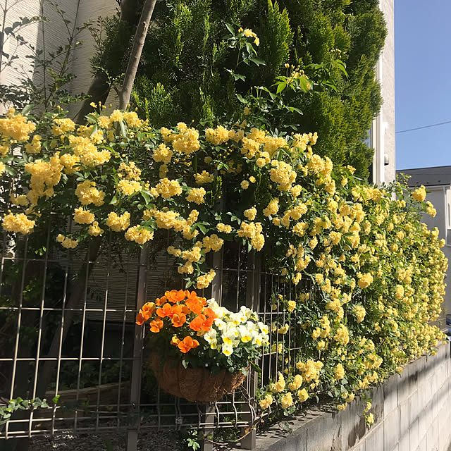 satominさんの実例写真