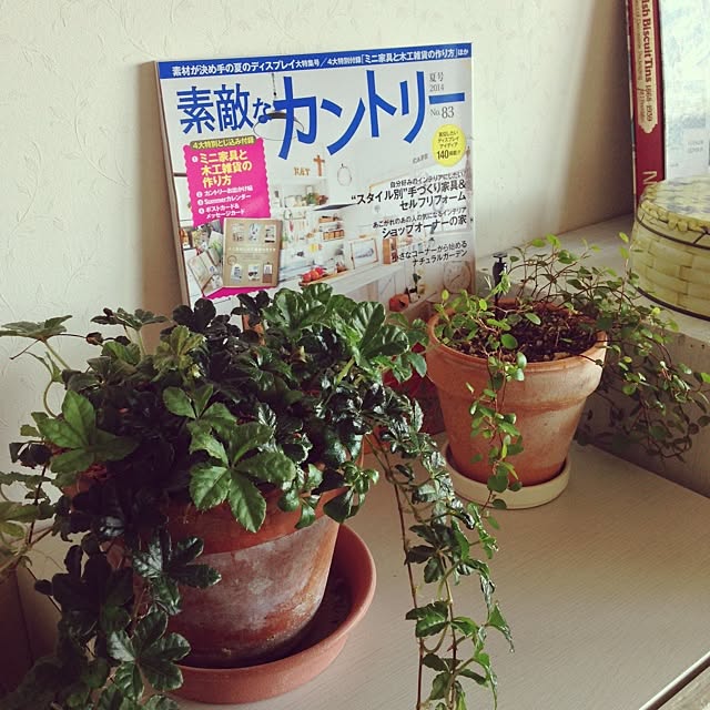 leonaさんの実例写真