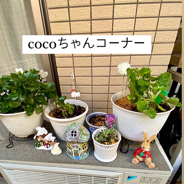 YuuKoさんの実例写真