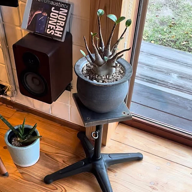 plus710さんの部屋