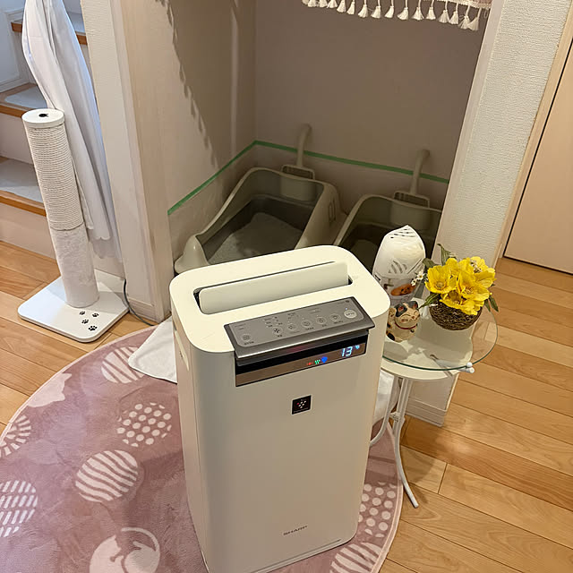 norneaさんの実例写真