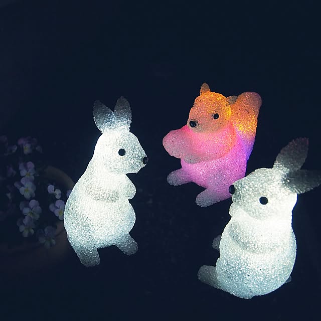 pironさんの実例写真