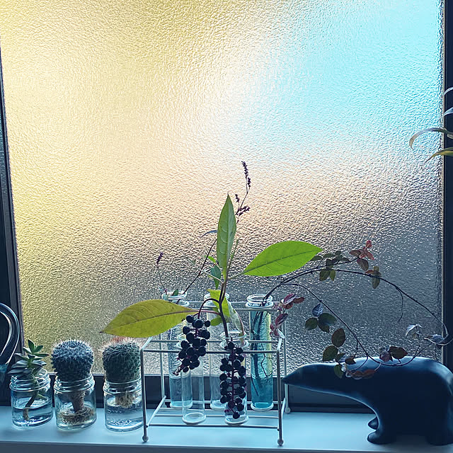uninekoさんの実例写真