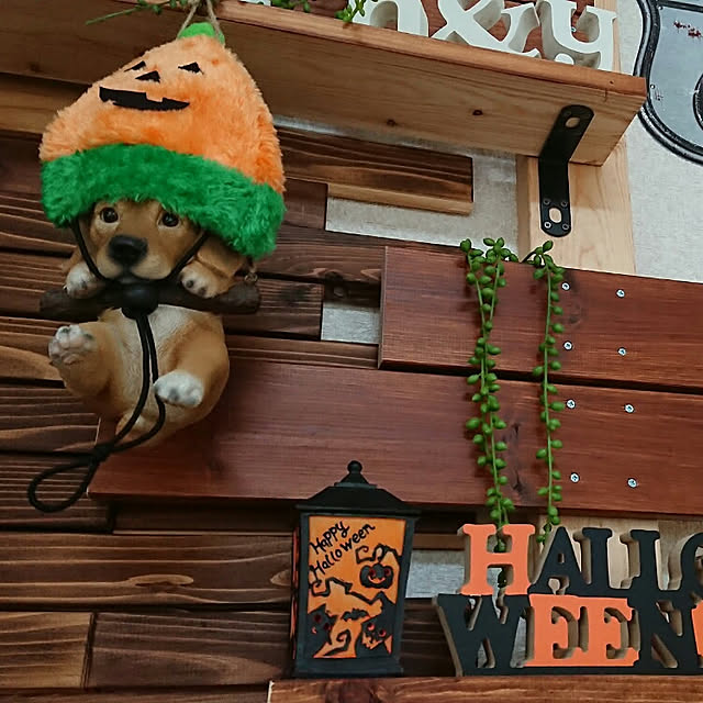 anazuさんの実例写真