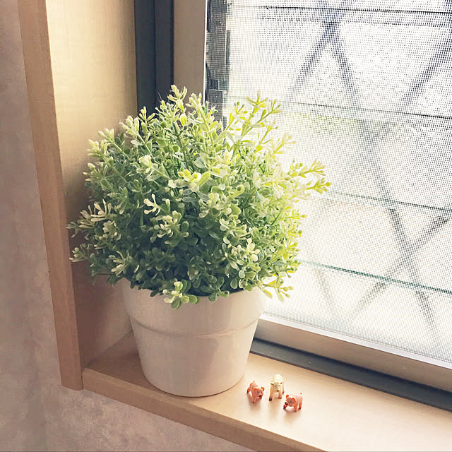 haritakaさんの実例写真