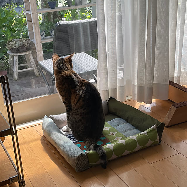 nobikoさんの部屋