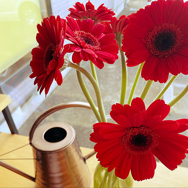 mk-1さんの実例写真