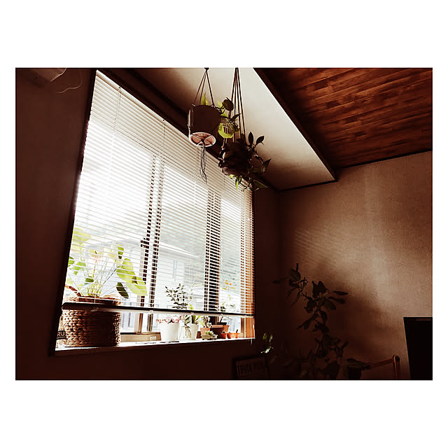 miiksさんの実例写真