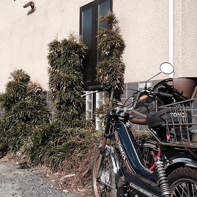 omoideinmy45さんの実例写真