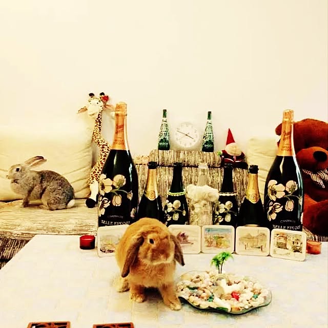 MARIさんの実例写真