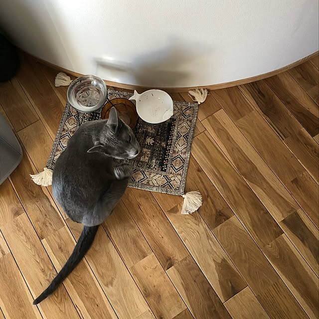 tomokoさんの実例写真