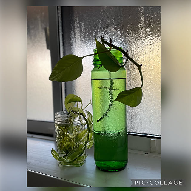 buchiさんの実例写真