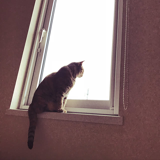 hansho.sさんの実例写真