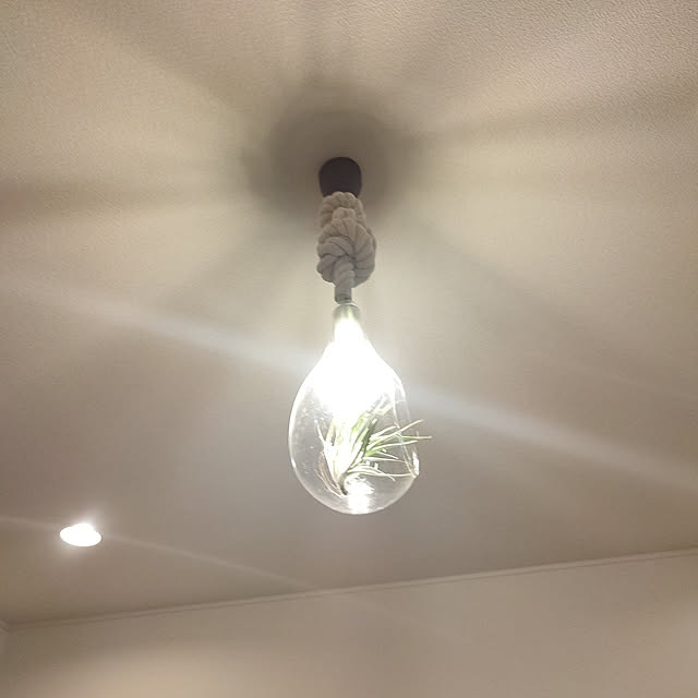 pomawallさんの実例写真
