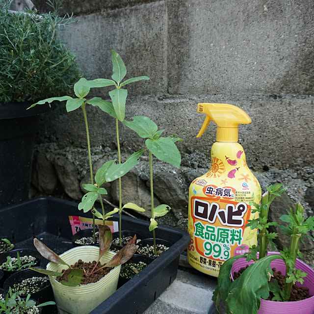 asさんの部屋
