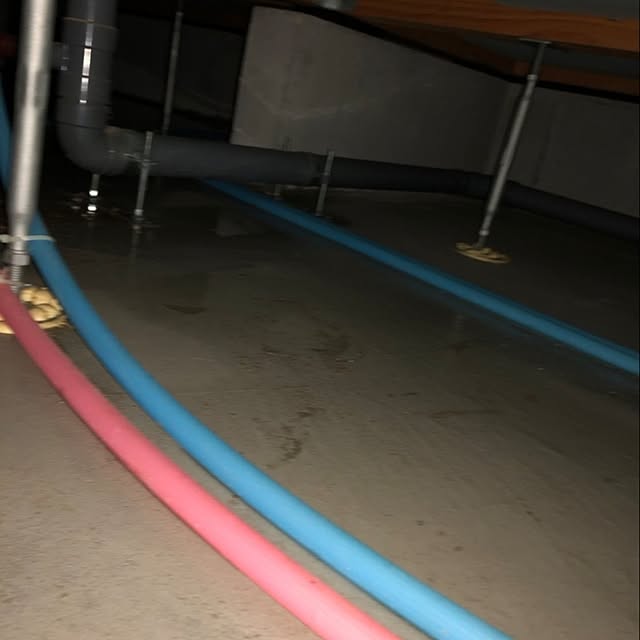 napiさんの部屋