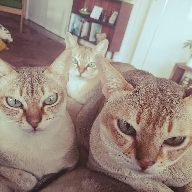 Jcさんの実例写真