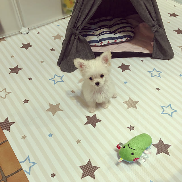 chi.r2さんの実例写真