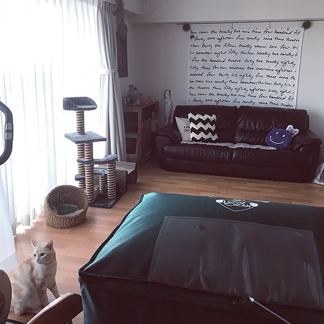 hiyupan88さんの実例写真