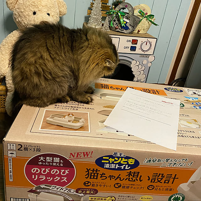 xxyumexx.roomさんの実例写真