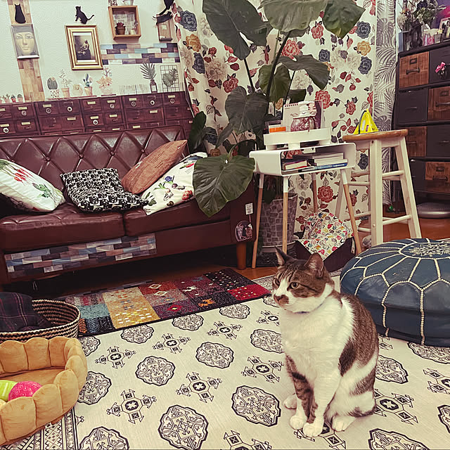 jijiさんの実例写真