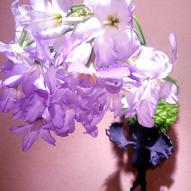 Gravityさんの実例写真