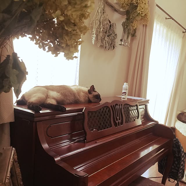 yumoさんの実例写真