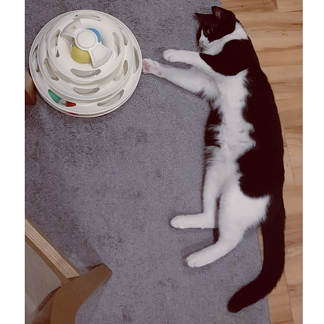 hihaさんの実例写真