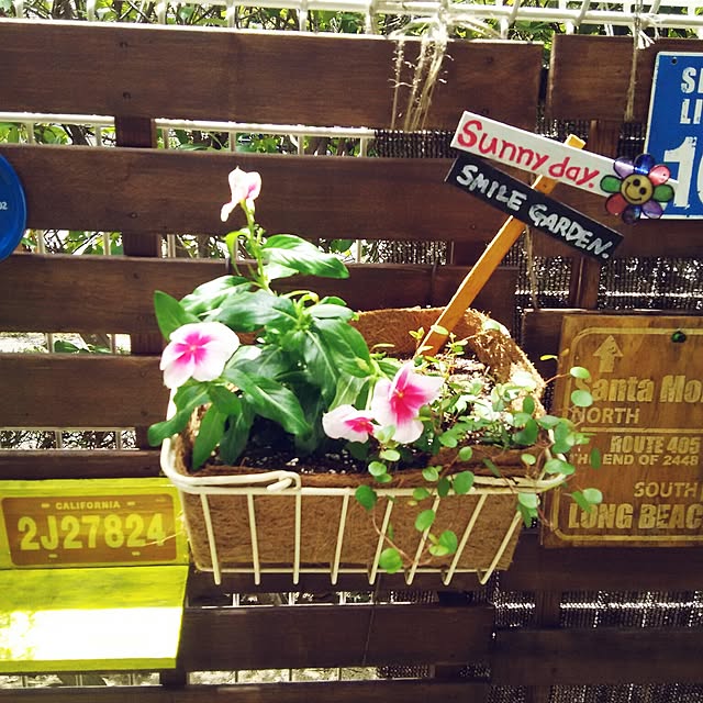 shiroashiさんの実例写真