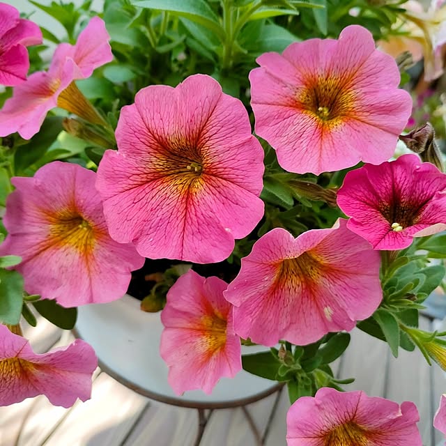 VERANDARJUNさんの実例写真