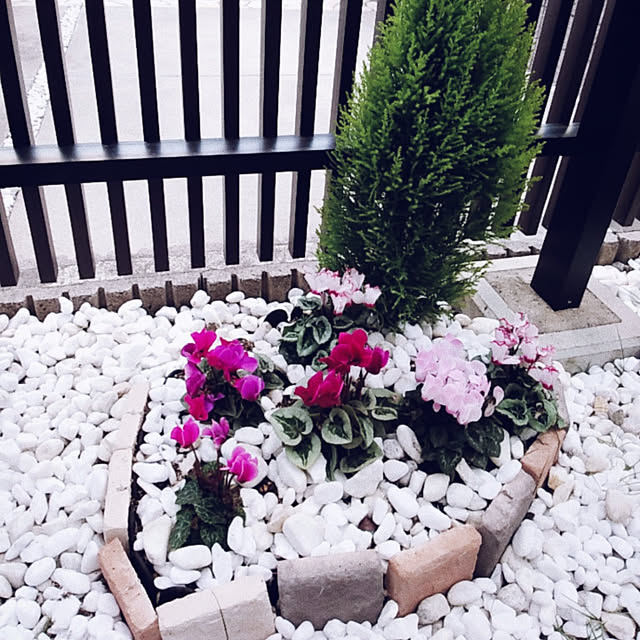 tomoさんの実例写真