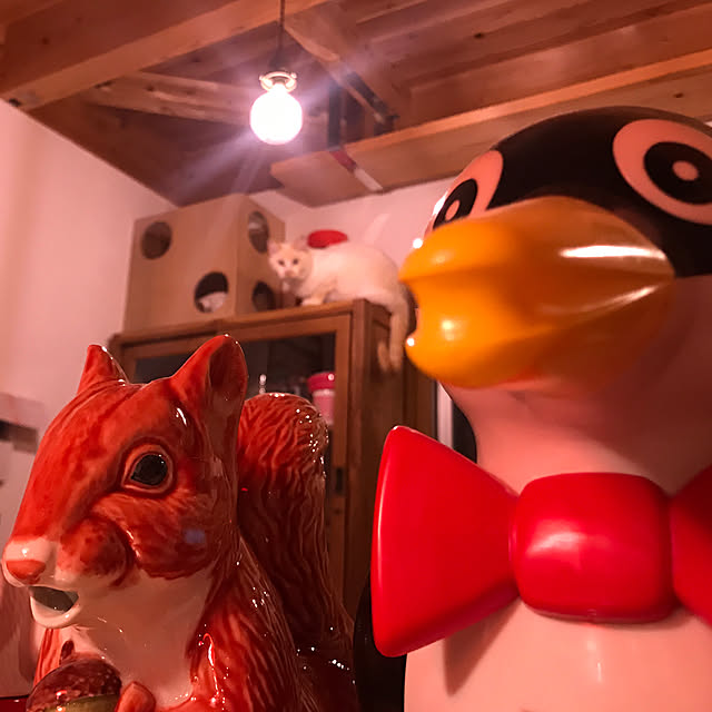 sakurasakuさんの実例写真