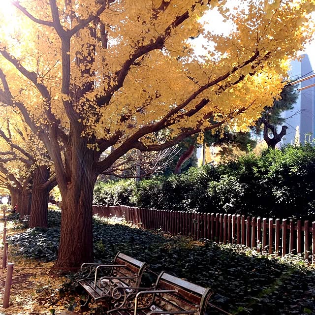 実例写真
