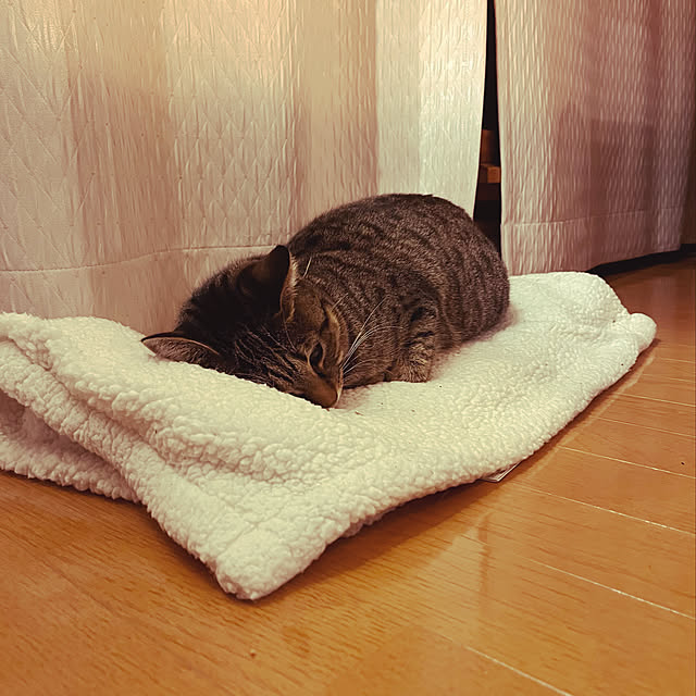 Mさんの実例写真