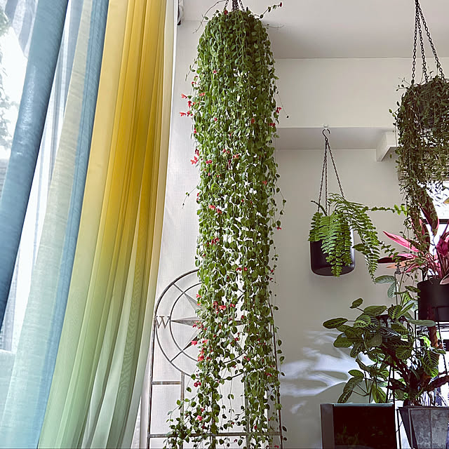 DAYONEさんの実例写真