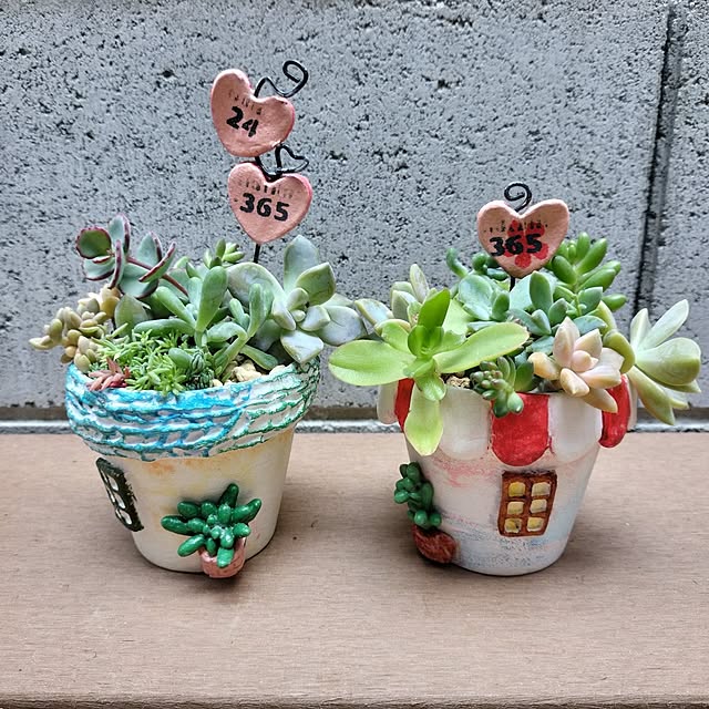 リメ缶に寄せ植え ポートさんのリメ缶 | ワタシの知らない多肉