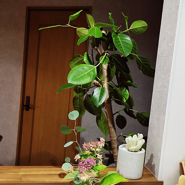 arichanさんの実例写真