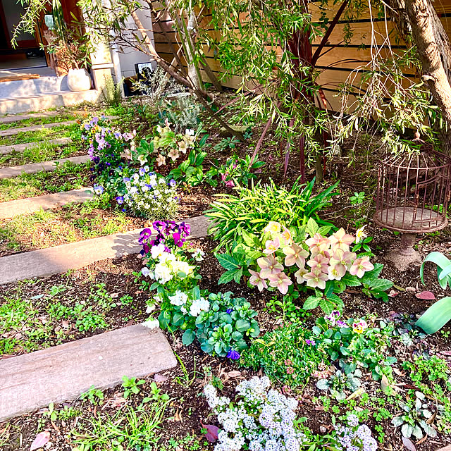 green.green.greenさんの部屋